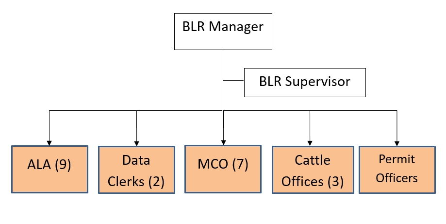 BLR ORGANOGRAM