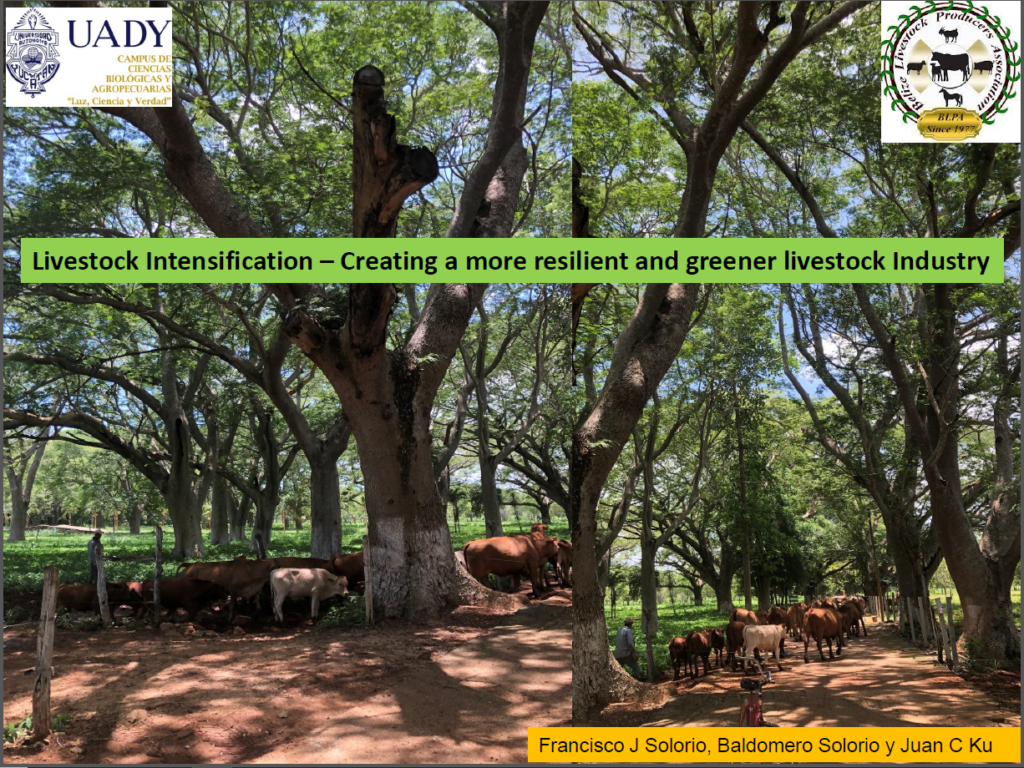 Livestock Intensification Project